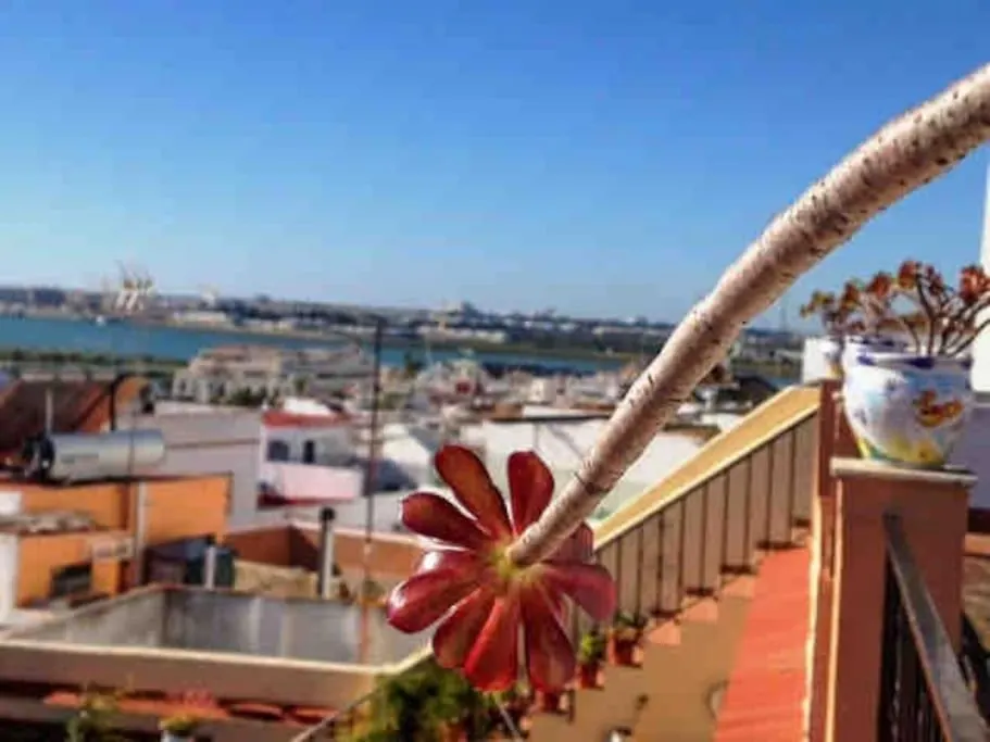 “Flor De Sal” Charming Traditional Andalusian House Ayamonte 0*,